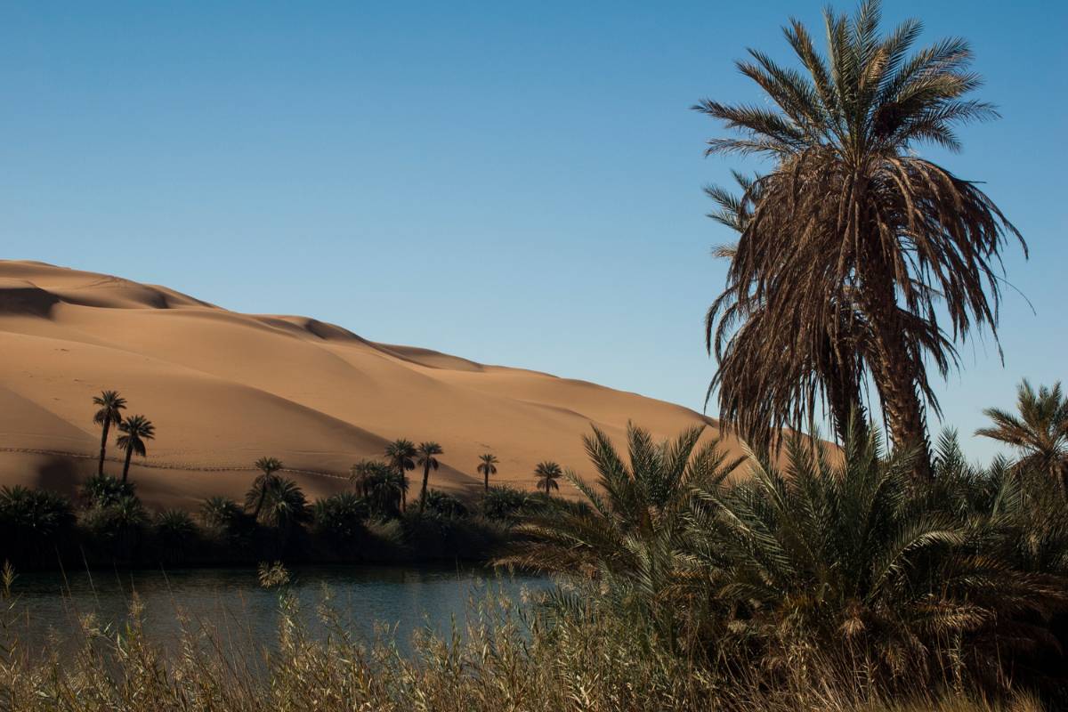 3-Day Sahara Tour: Fez to Merzouga (photo 3)