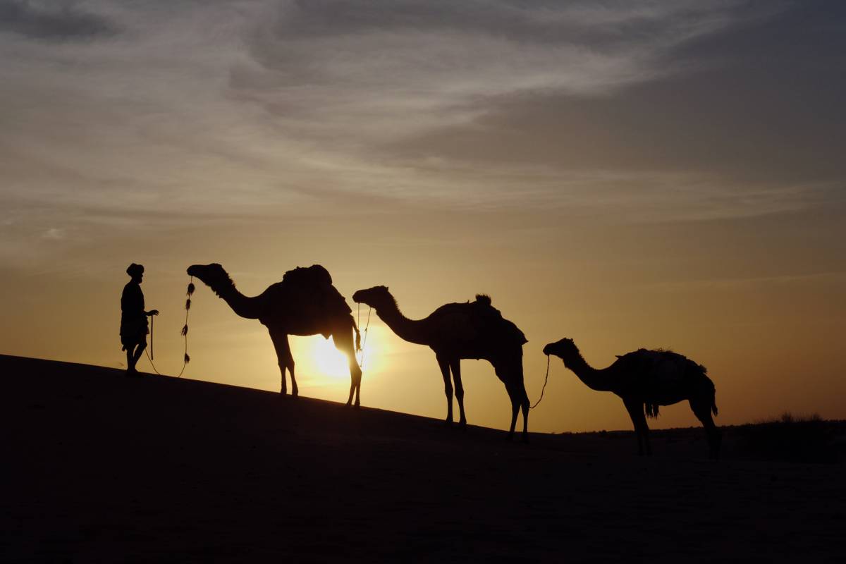 3-Day Sahara Tour: Fez to Merzouga (photo 1)